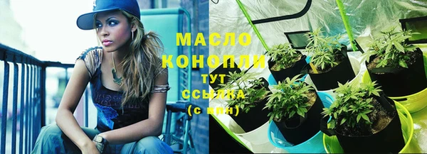 соль ск Зеленодольск