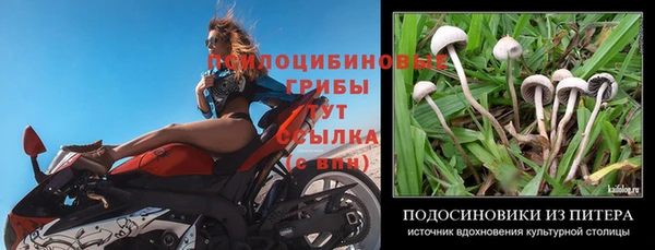 ешки Зерноград