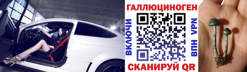 Купить где  Усолье  Псилоцибиновые грибы Psilocybe 